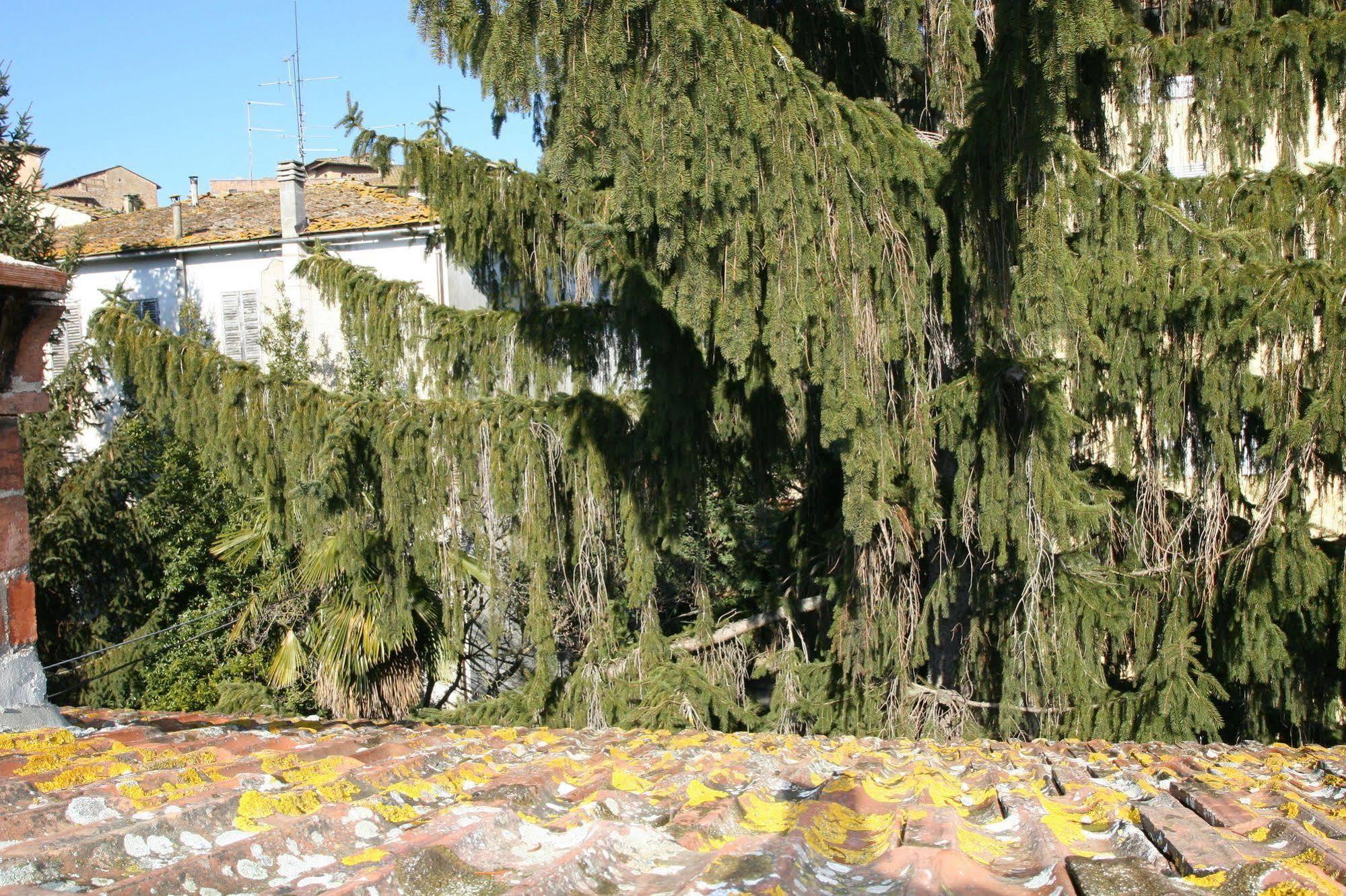 B&B La Coperta Ricamata Siena Esterno foto